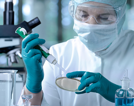 紫生高科（北京）科技有限公司