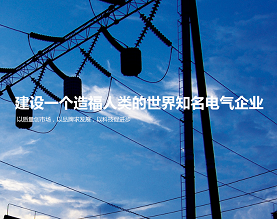 云南人民电力电气有限公司