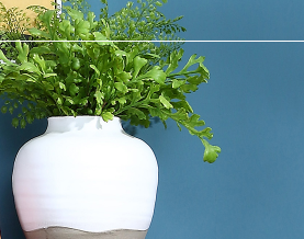 成都市金亿家具有限公司