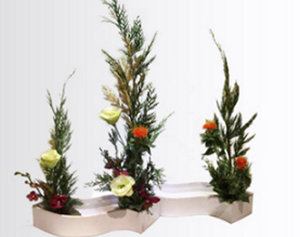 侨爱花道艺术培训学堂