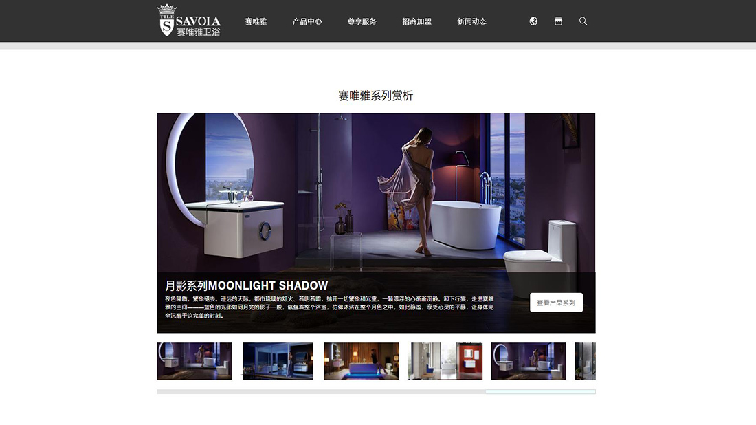 家装建材网站案例