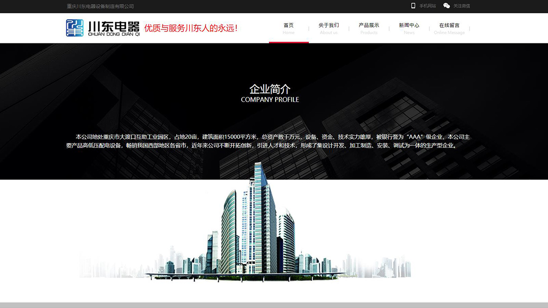 仪器仪表网站案例