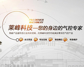 成都莱峰科技有限公司