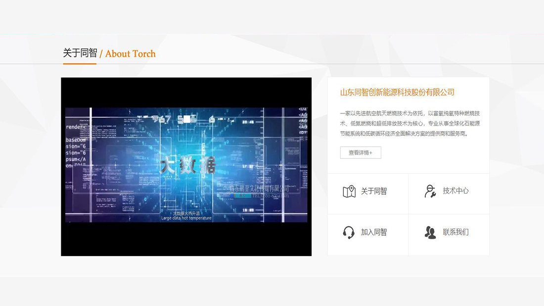 其它网站案例