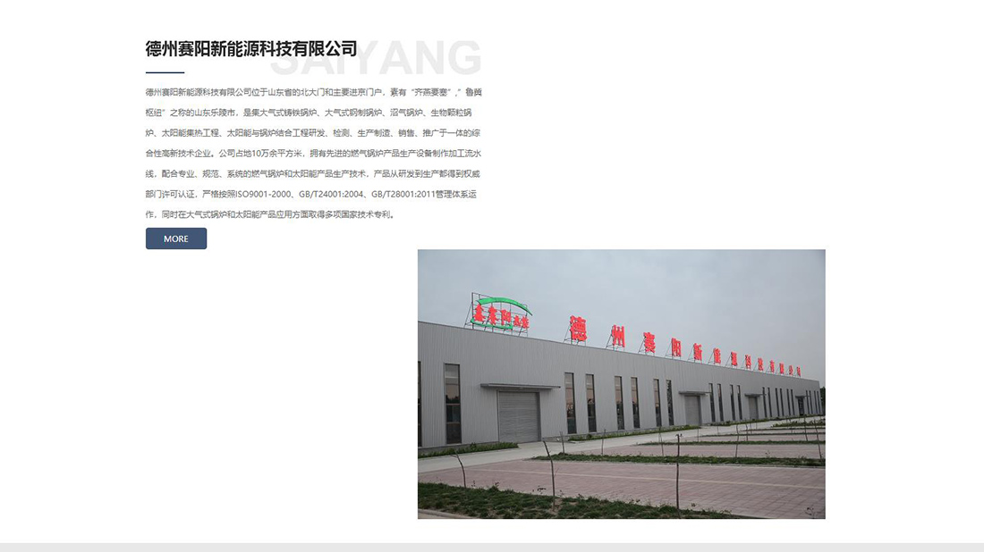 其它网站案例