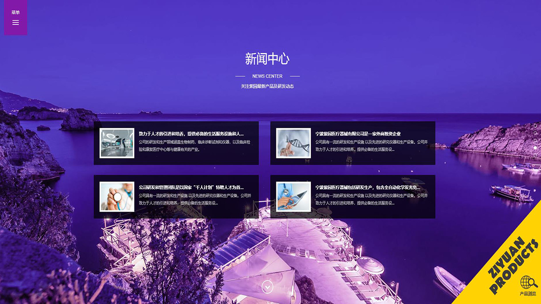 医疗器械网站案例
