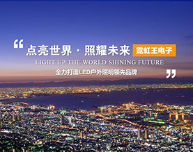 山东霓虹王电子有限公司