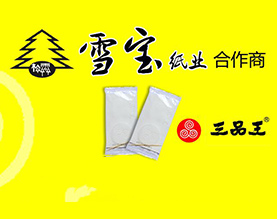 南宁雪宝纸业有限责任公司