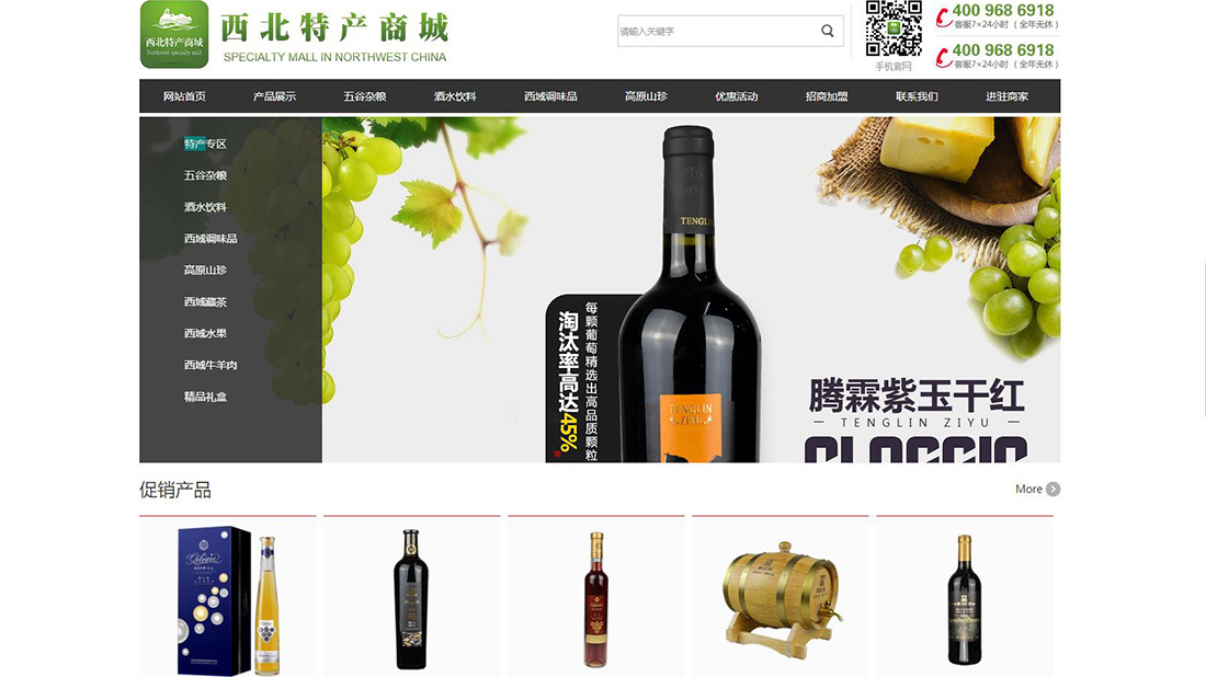 商业服务网站案例