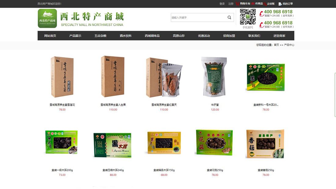 商业服务网站案例