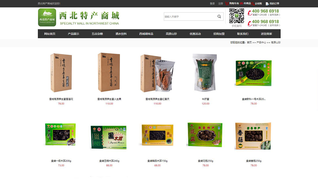 商业服务网站案例