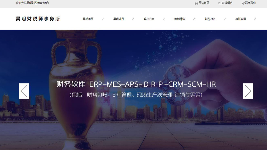 其它网站案例