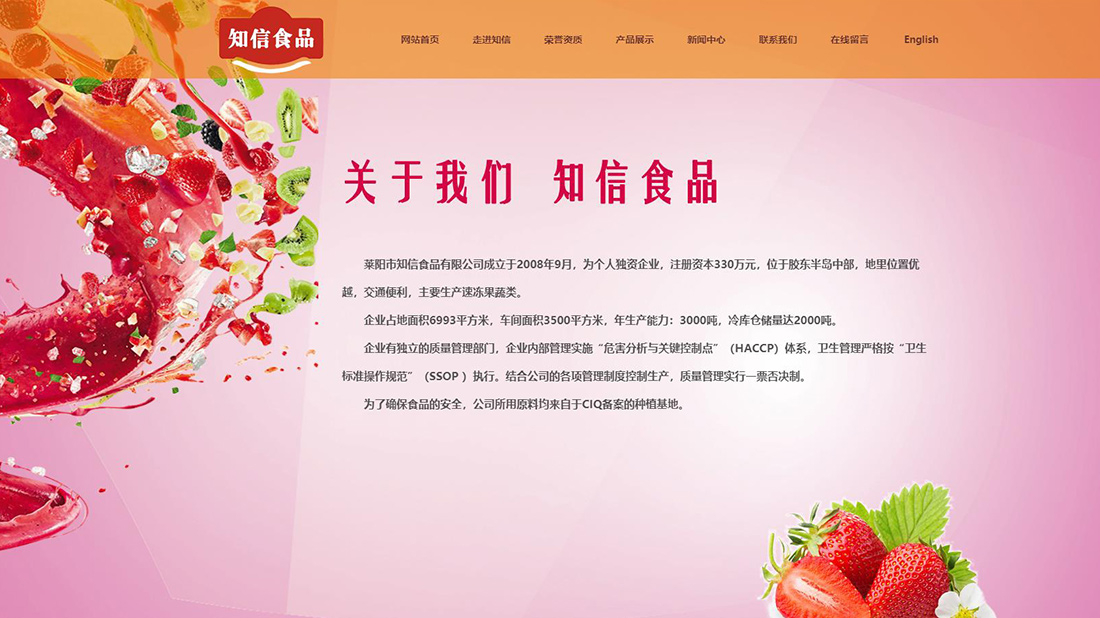 食品制造网站案例