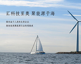 东莞市奥海科技股份有限公司