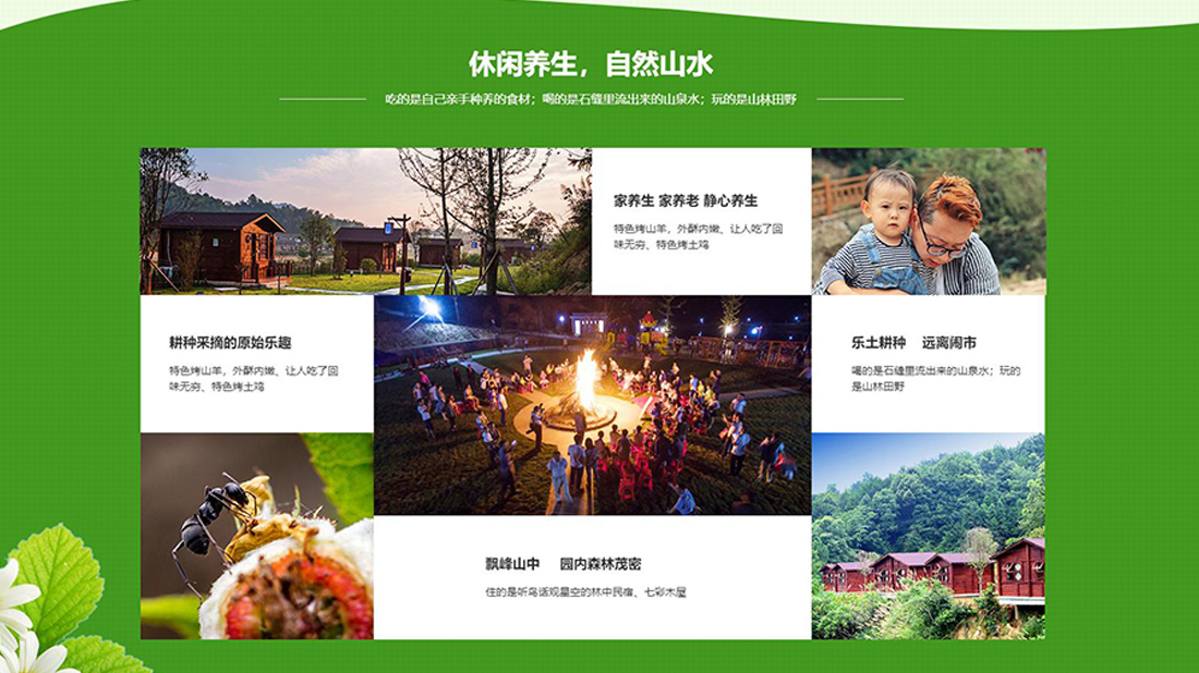 酒店旅游网站案例