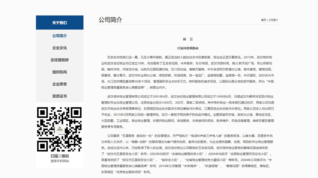 商业服务网站案例