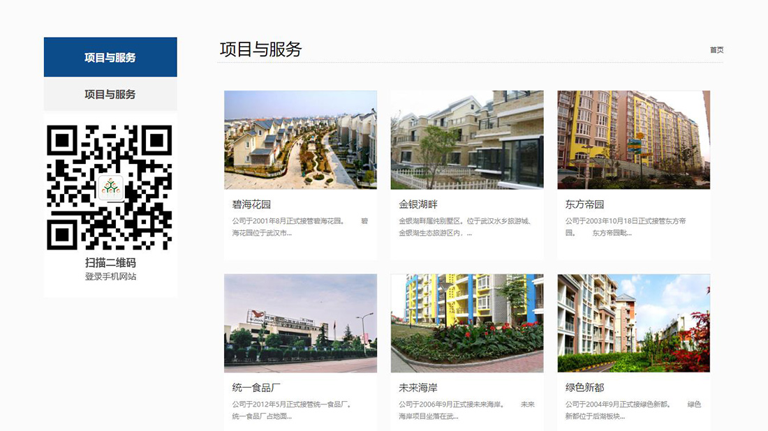 商业服务网站案例