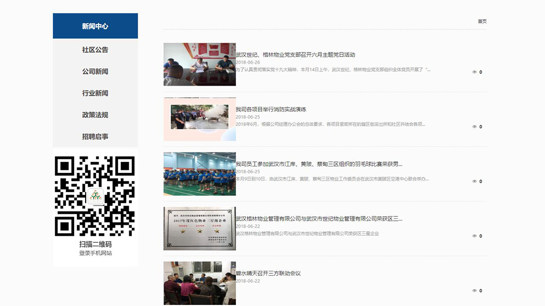 商业服务网站案例