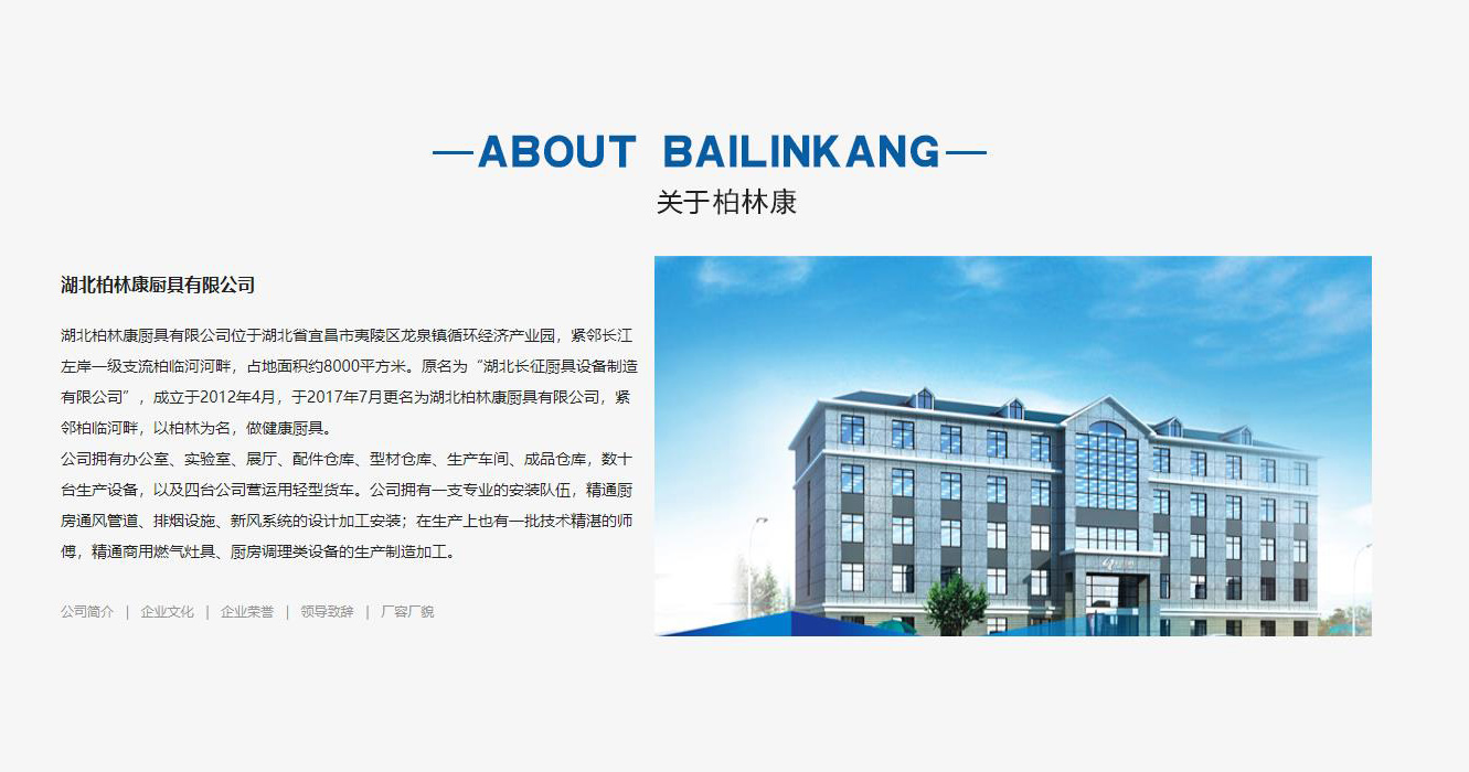家装建材网站案例