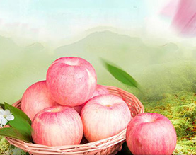 保定市腾丰农业科技有限公司