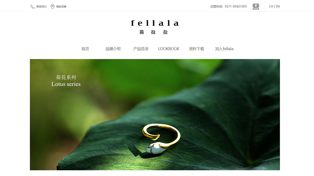 珠宝首饰网站案例