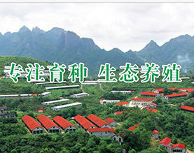 广西鸿光农牧有限公司