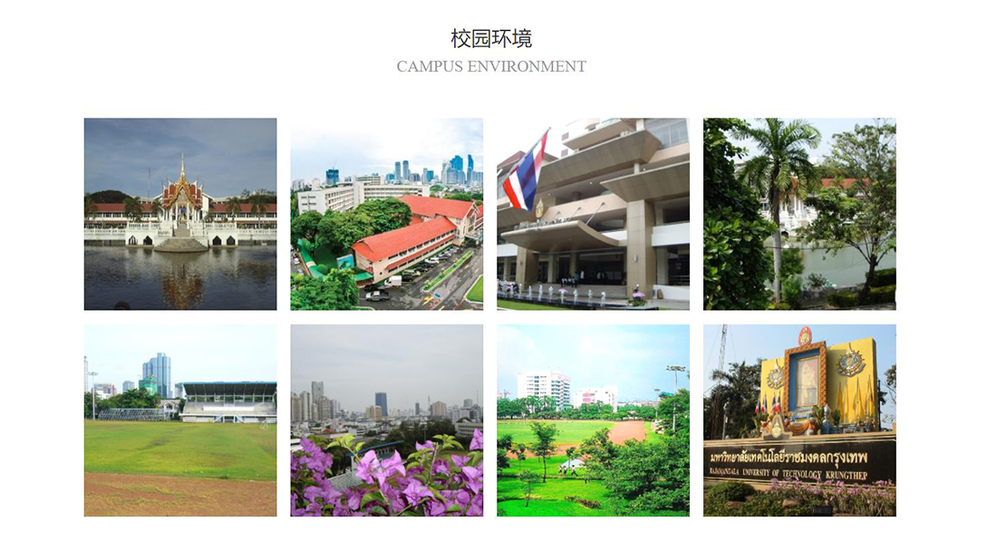 培训教育网站案例