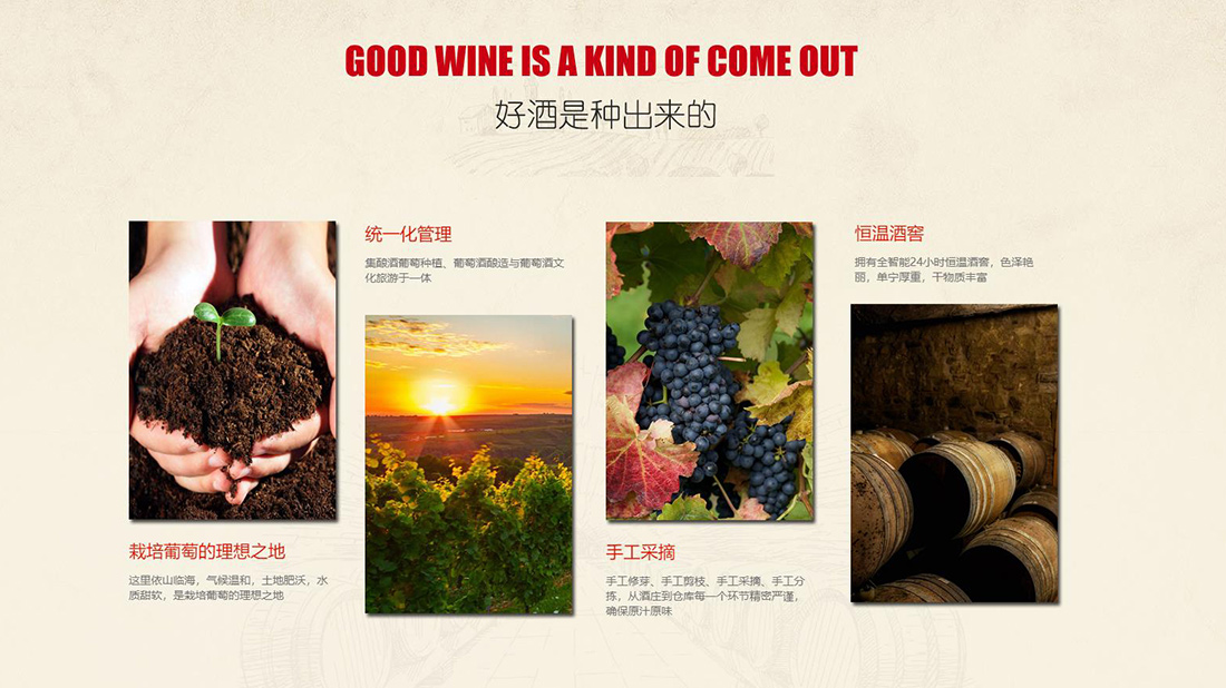食品制造网站案例