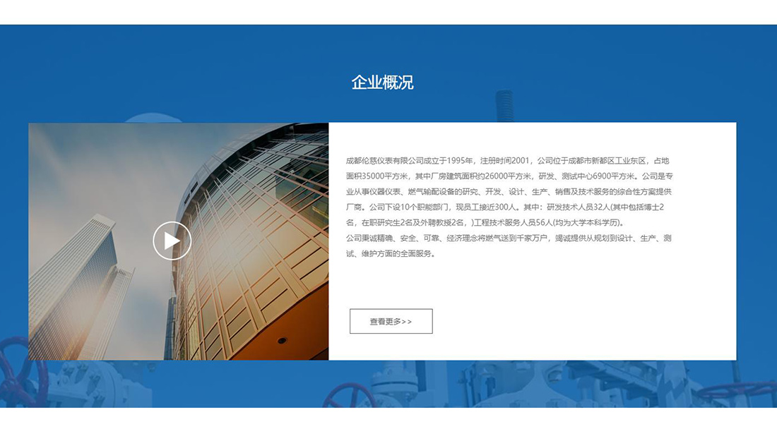 仪器仪表网站案例