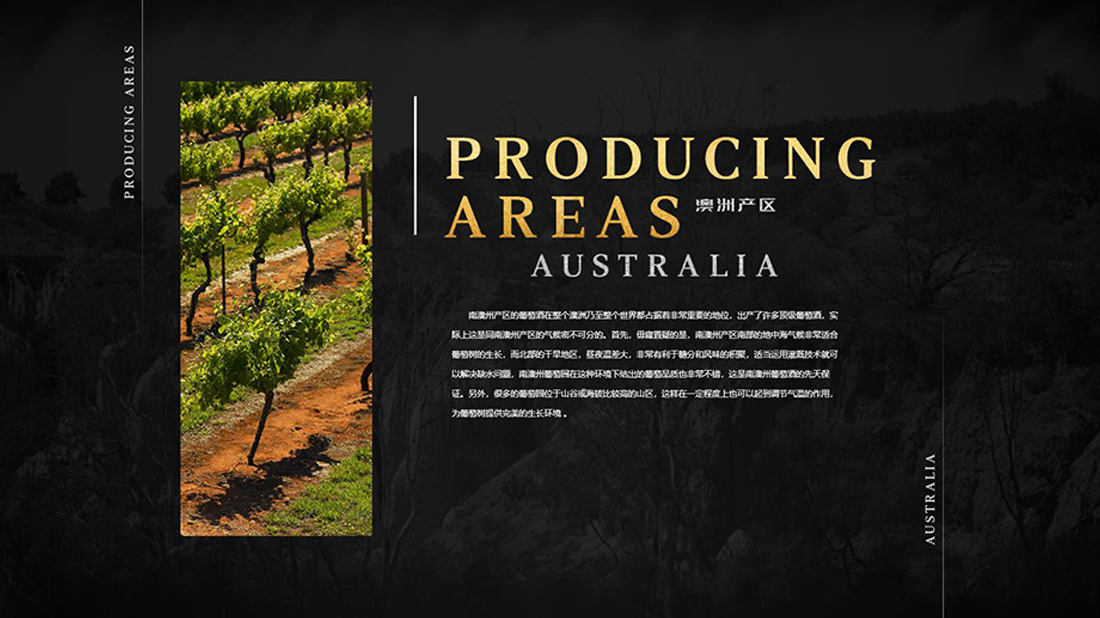 房地产网站案例