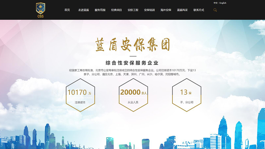 商业服务网站案例