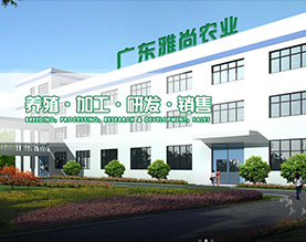 广东雅尚农业发展有限公司
