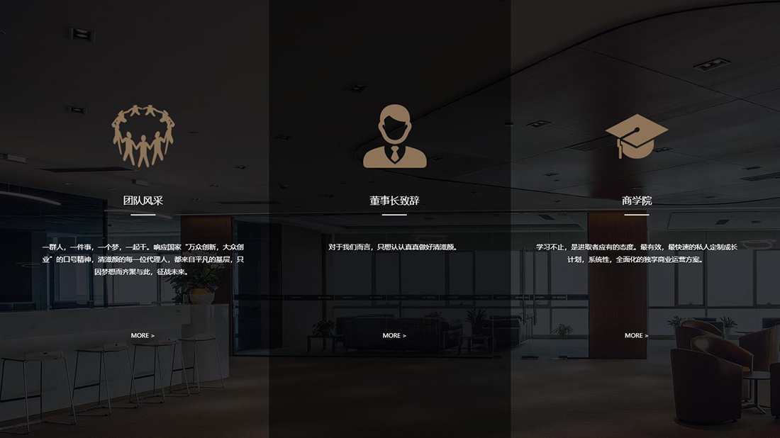 美妆护肤网站案例