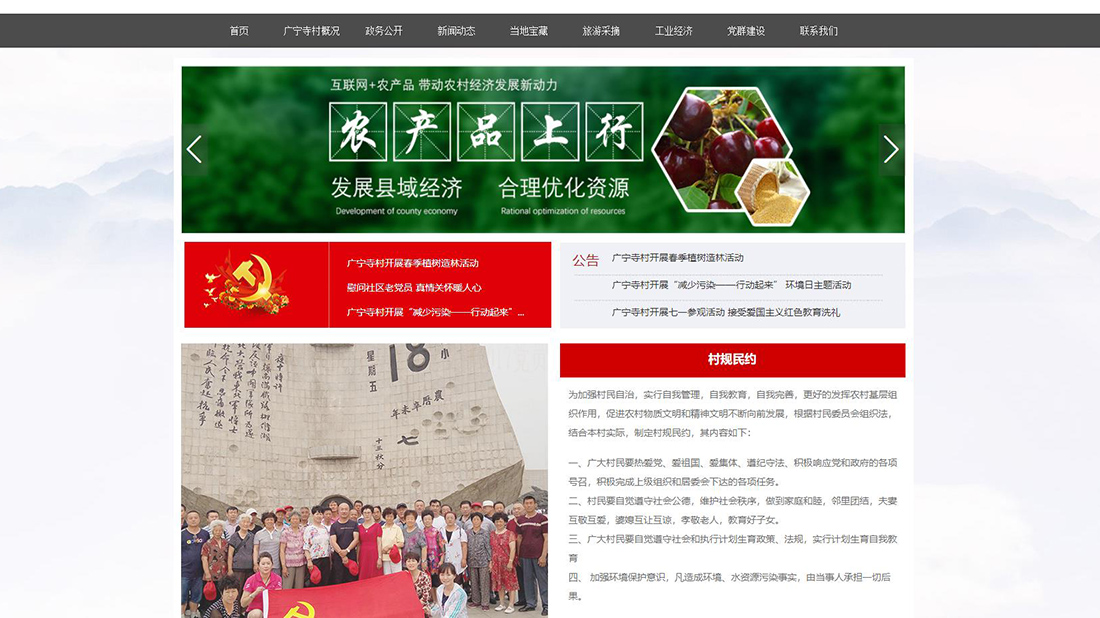 其它网站案例