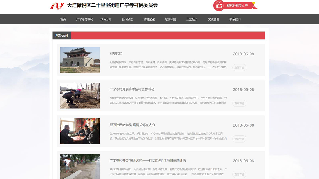 其它网站案例
