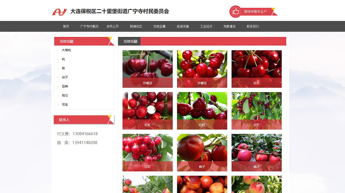 其它网站案例