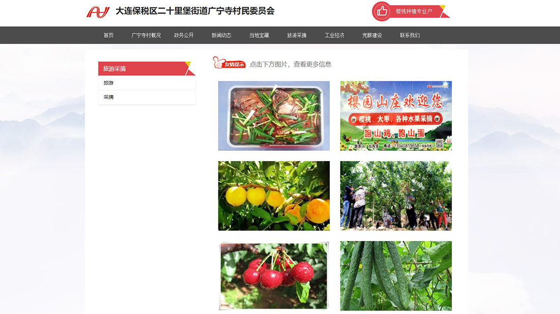 其它网站案例
