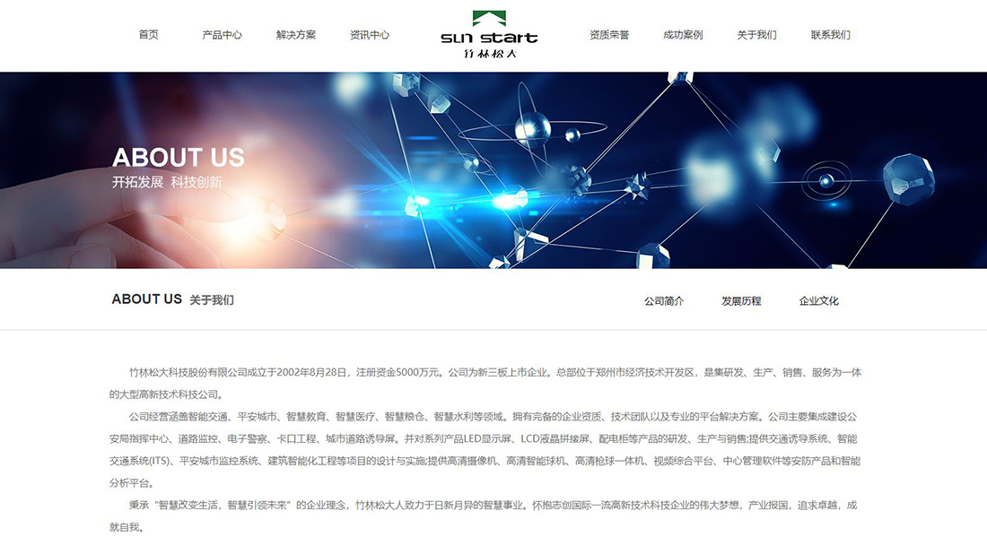 IT互联网网站案例