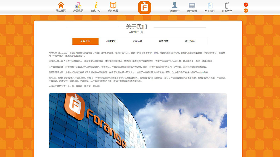 其它网站案例