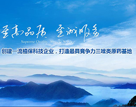 山东东泰农化有限公司