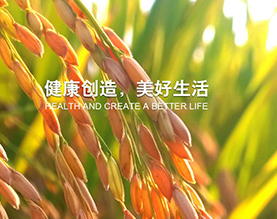 江西禾益化工股份有限公司