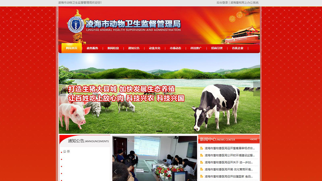 其它网站案例
