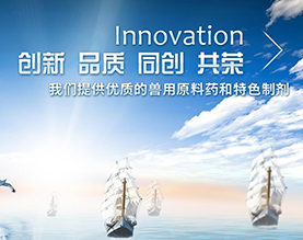 湖北龙翔药业科技股份有限公司