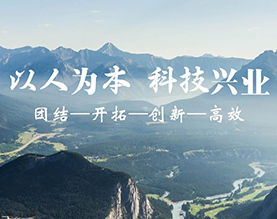 江苏宝进集团有限公司