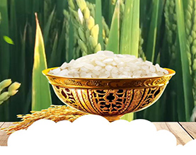 江苏楚穗现代农业发展有限公司