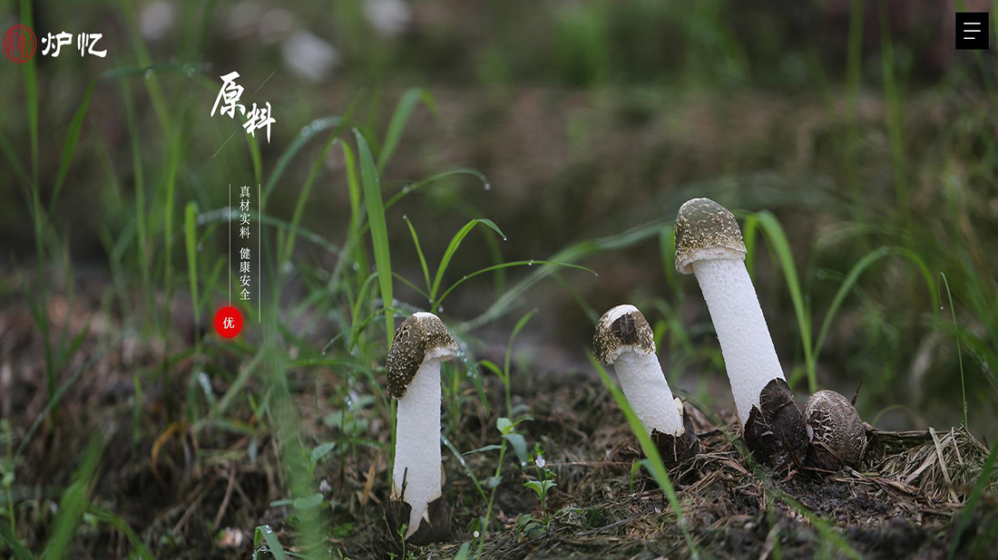 酒店旅游网站案例