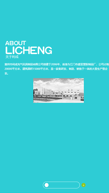 其它网站案例