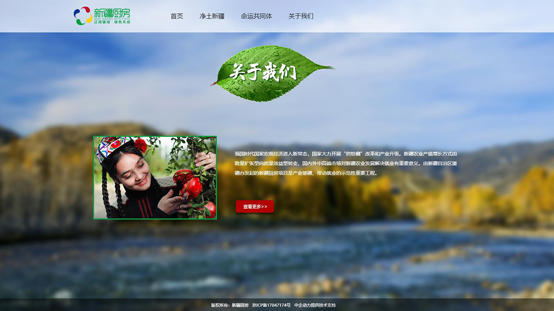 农副产品网站案例