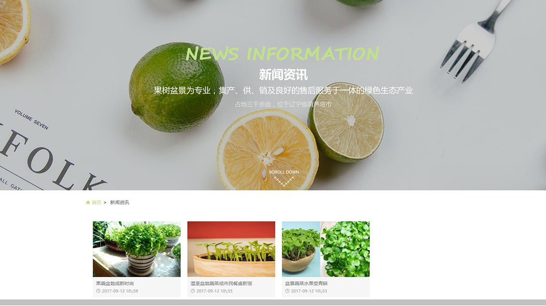 农副产品网站案例