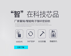 东莞市骏奇智能锁业科技开发有限公司